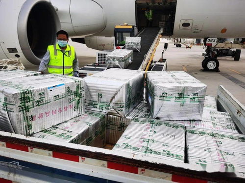 烏魯木齊國際機場國際貨運業(yè)務(wù)全面恢復(fù)運營