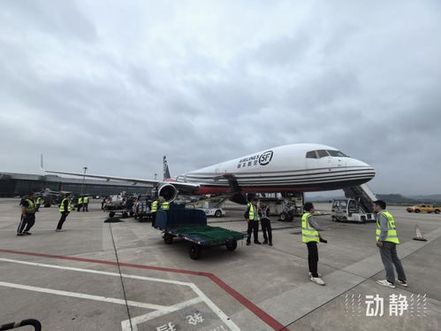 貴陽往返印度的兩條國(guó)際貨運(yùn)航線今年運(yùn)送貨物近1000噸
